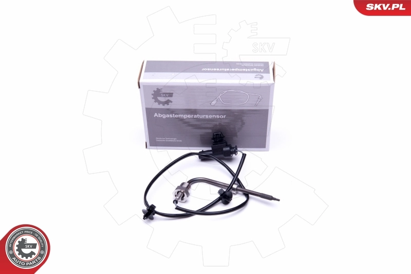 Sensor, exhaust gas temperature